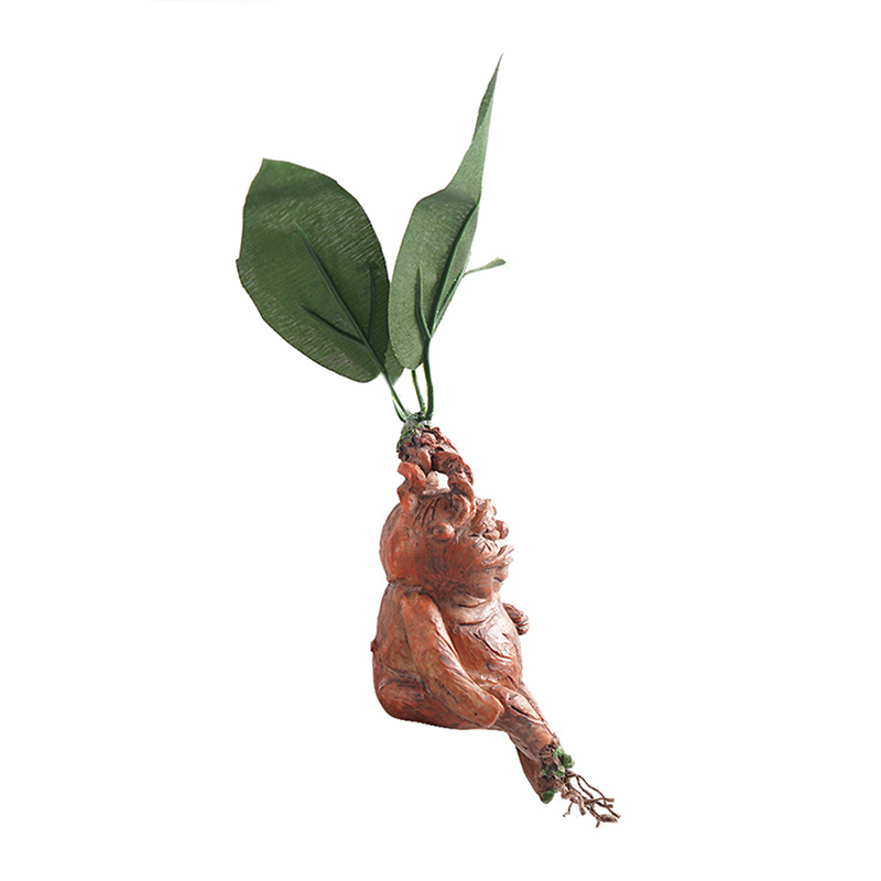 1 pz mandrake erba statua in r - Resin Art Anniversary Gift recensione e prezzo